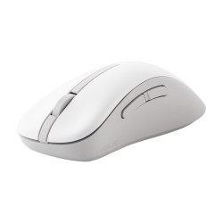 Wireless Mouse MD102