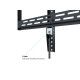 M Universal Wallmount HD 100kg 900x600