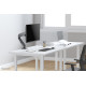 NEOMOUNTS BY NEWSTAR GAS SPRING DESK MOUNT (CLAMP/GROMMET) NEOMOUNTS BY NEWSTAR GAS SPRING DESK MOUNT (CLAMP/GROMMET)