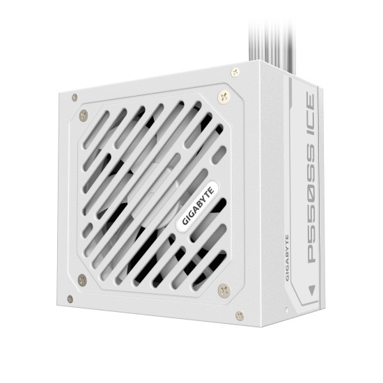 P550SS ICE P550SS ICE